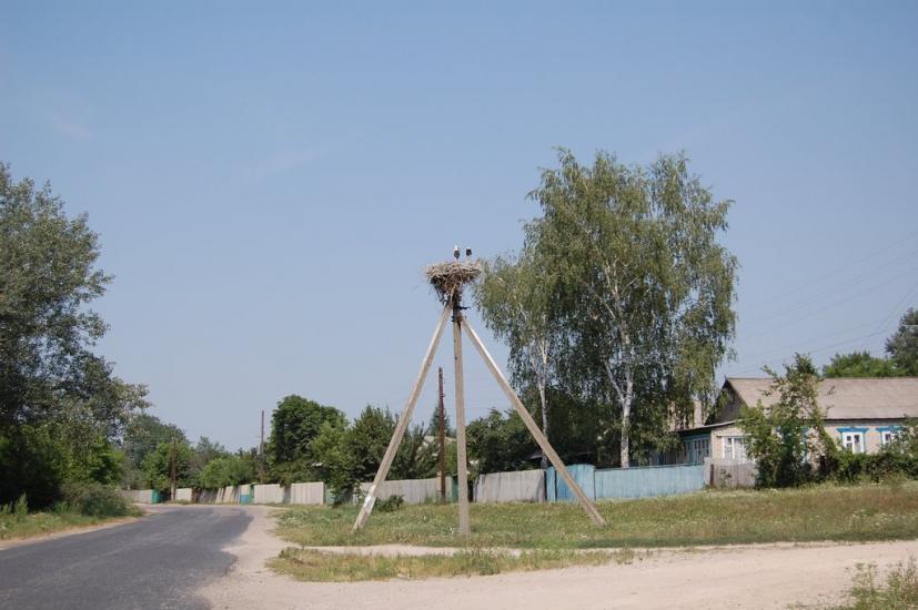 Червоний Оскіл з panoramio.com - Червоный Оскол
