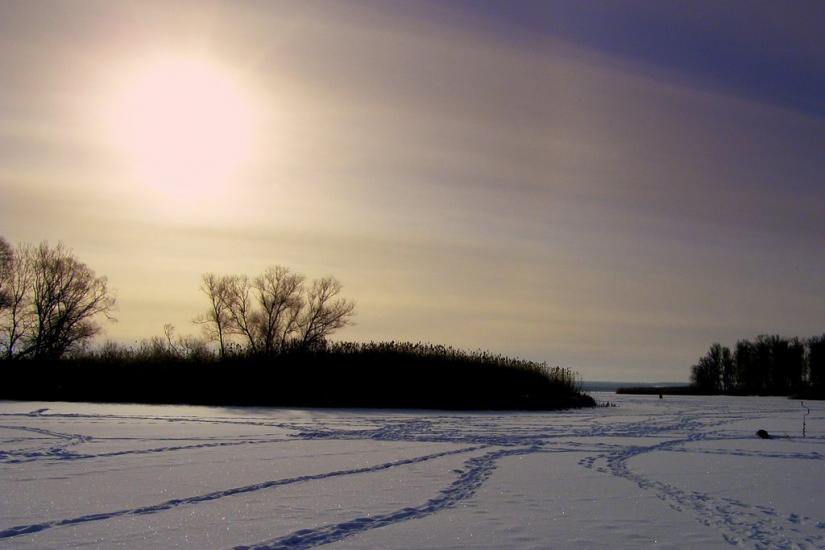 Піски-Радьківські з panoramio.com - Pisky-Radkivski