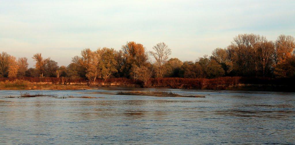 Вилок з panoramio.com - Вилок