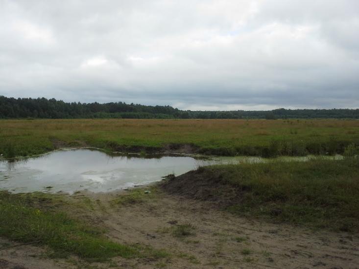 Сошники з panoramio.com - Сошники