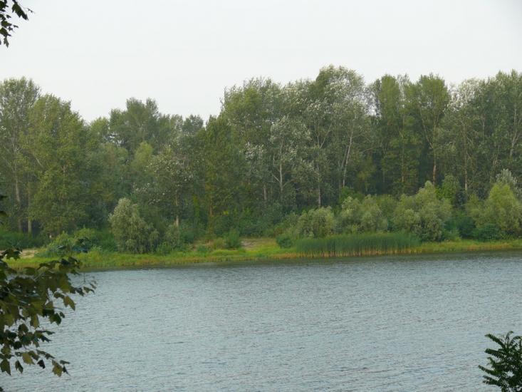 Хотянівка з panoramio.com - Хотяновка