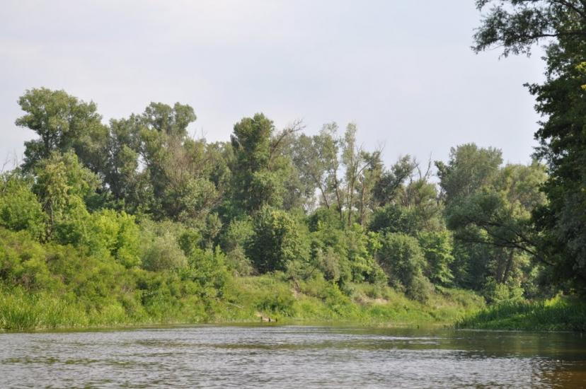 Кардашівка з panoramio.com - Кардашовка