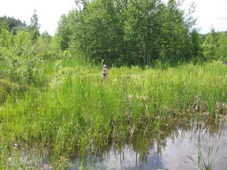 Циркуни з panoramio.com - Циркуны