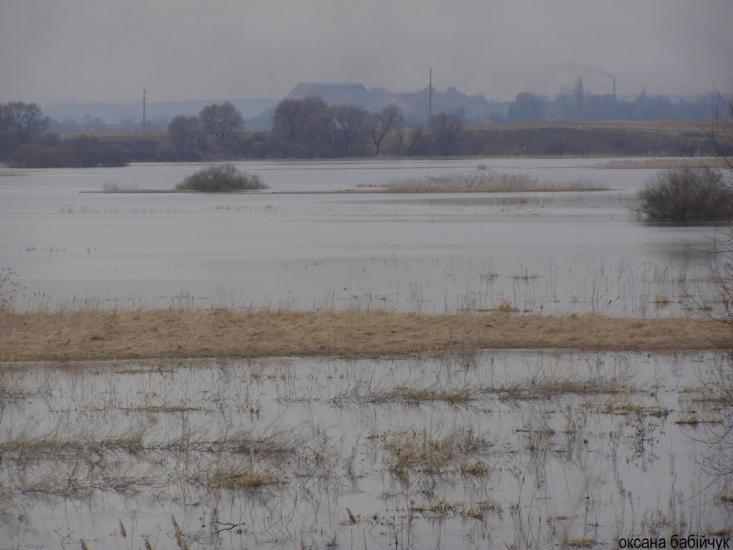 Литовеж з panoramio.com - Литовеж