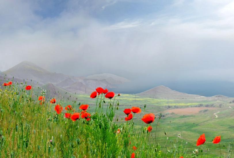 Підгірне з panoramio.com - Підгірне