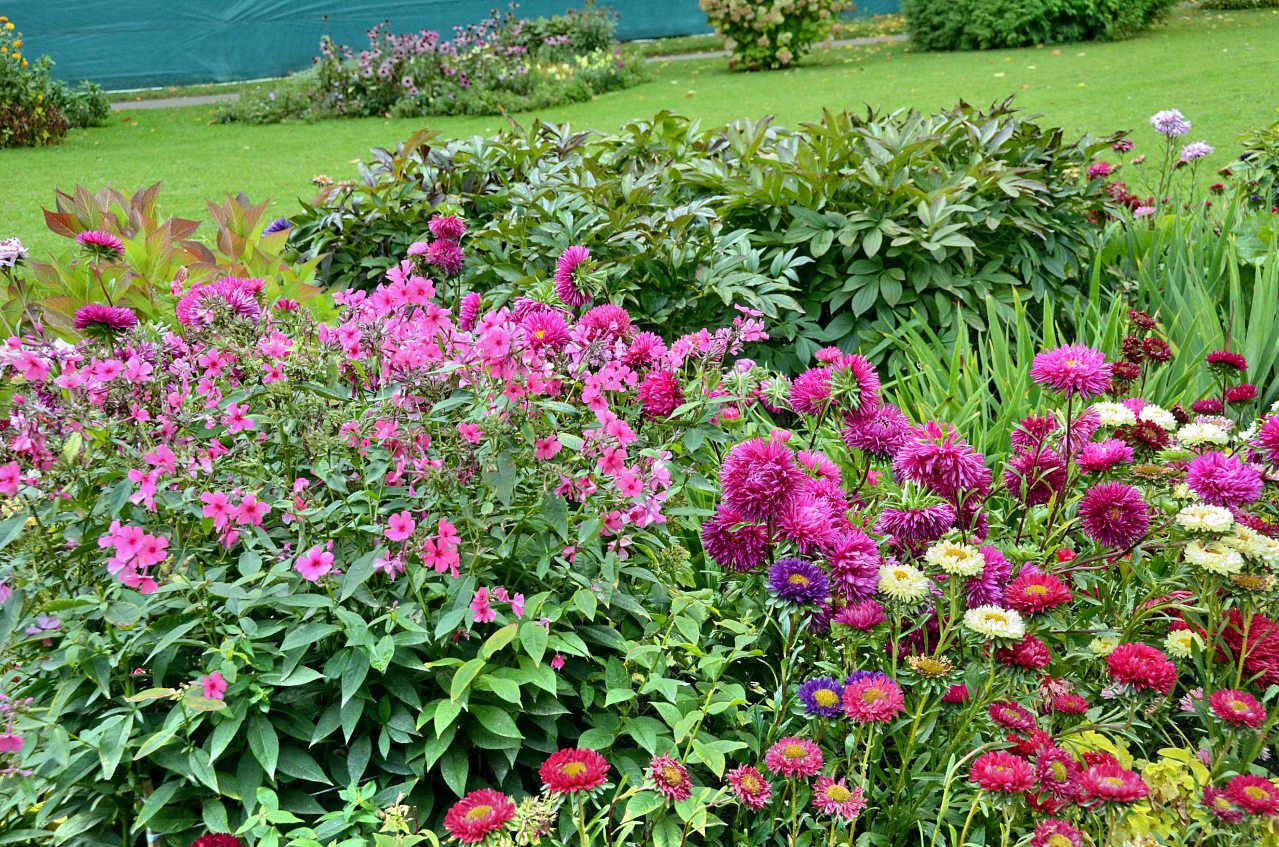 село. Миролюбивка - Миролюбівка