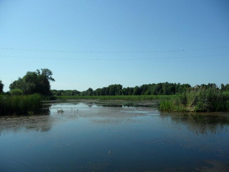 Сніжна з panoramio.com - Сніжна