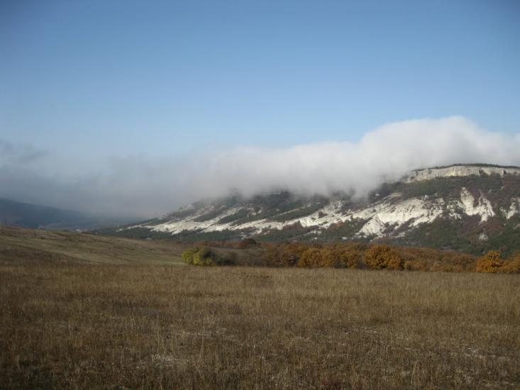 Каштанове з panoramio.com - Каштановое