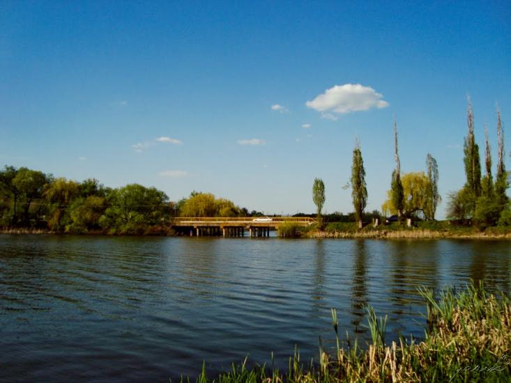 Вільхівка з panoramio.com - Вільхівка