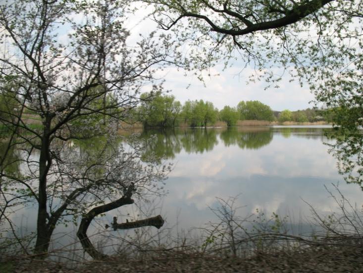 Велика Севастянівка з panoramio.com - Великая Севастьяновка