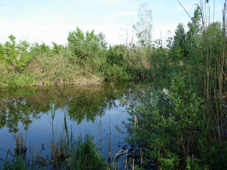 Старосілля з panoramio.com - Староселье
