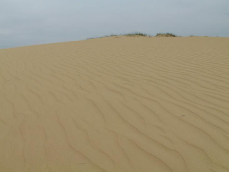 Пролетарка з panoramio.com - Пролетарка