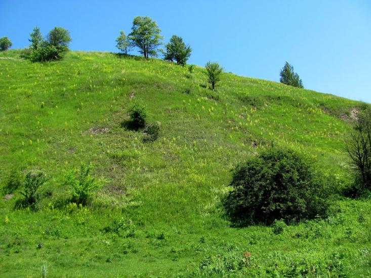 Губків з panoramio.com - Губків