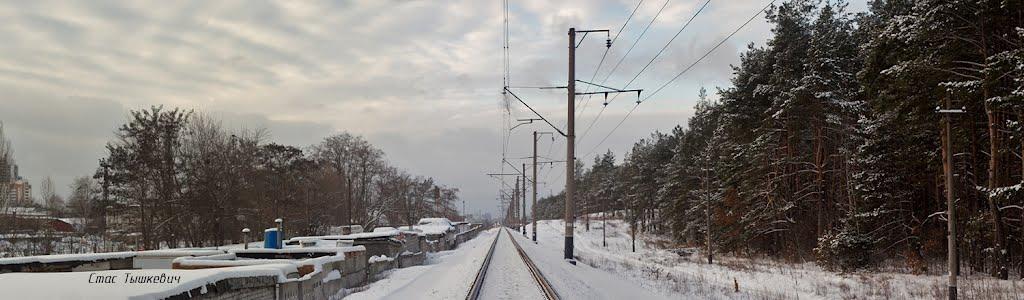 Княжичі з panoramio.com - Княжичі