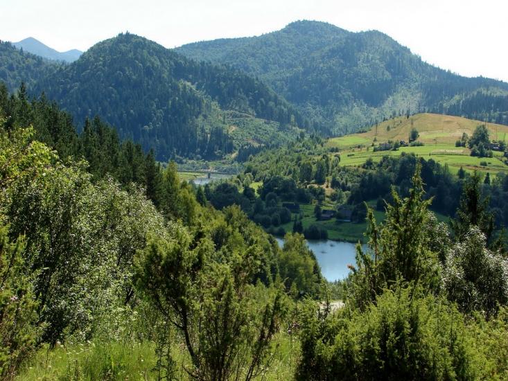 Явора з panoramio.com - Явора