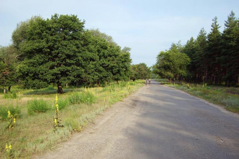 Нижнє з panoramio.com - Nyzhnye