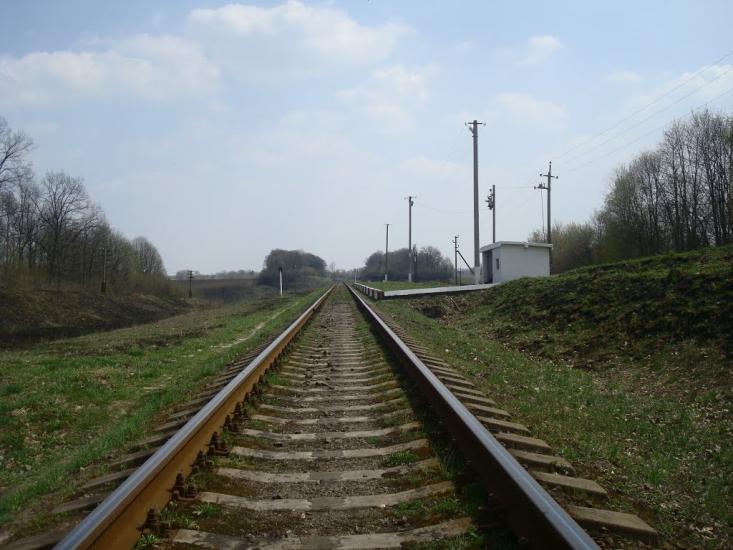 Лісова Волиця з panoramio.com - Лесовая Волица