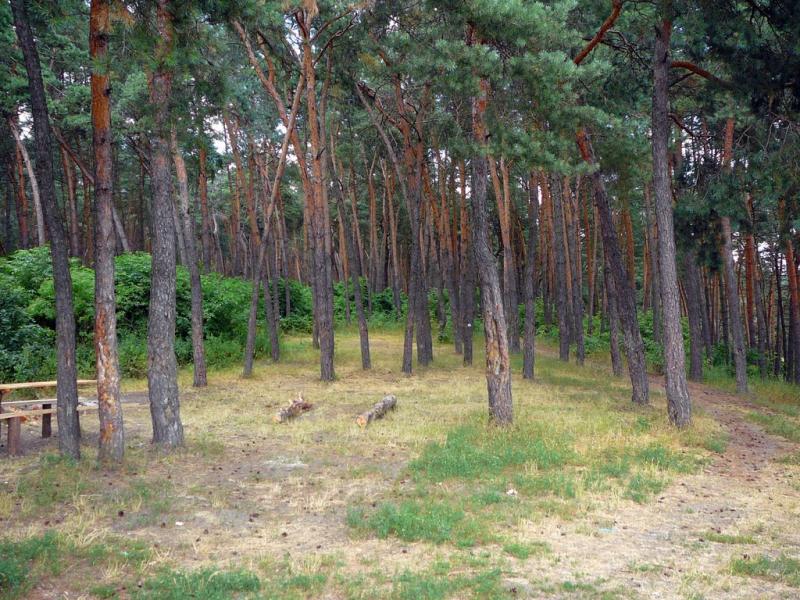 Кам'янка з panoramio.com - Каменка