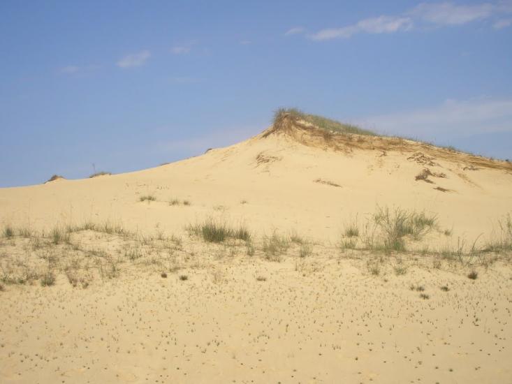 Пролетарка з panoramio.com - Пролетарка