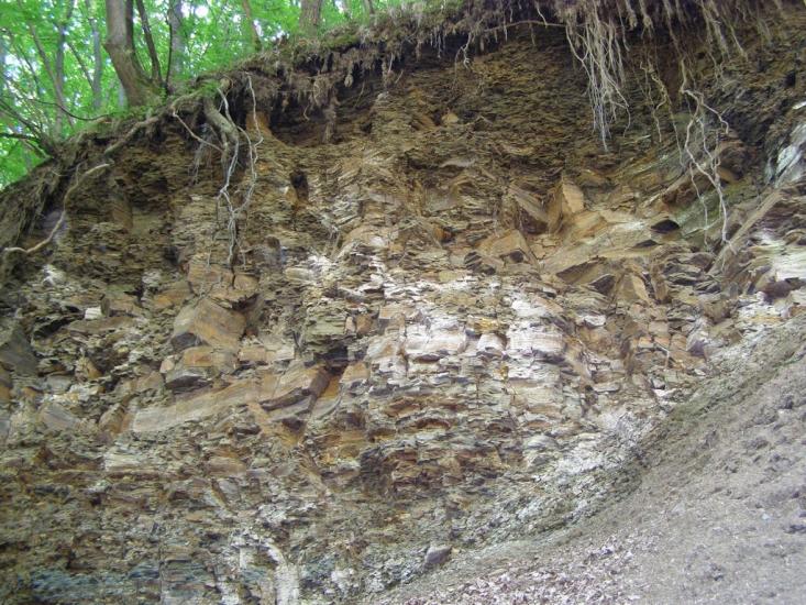 Черкасівка з panoramio.com - Cherkasivka