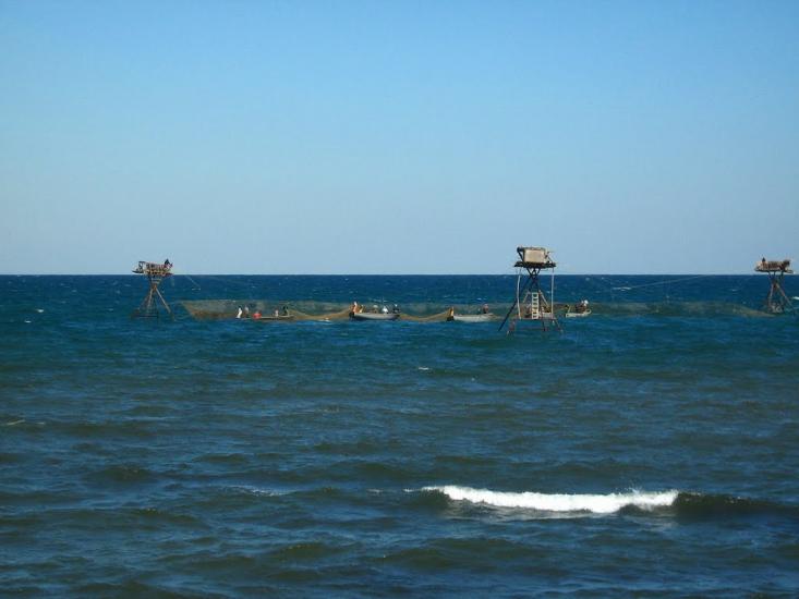 Водопійне з panoramio.com - Vodopiyne