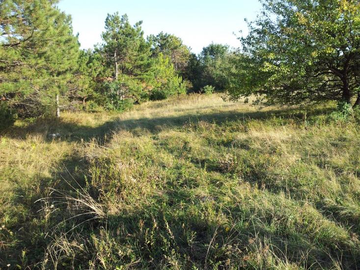 Лазарівка з panoramio.com - Лазаревка
