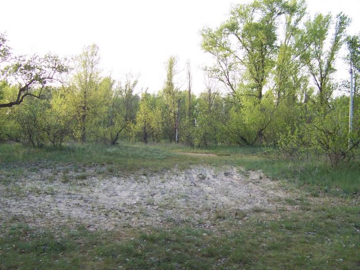 Самусіївка з panoramio.com - Самусіївка