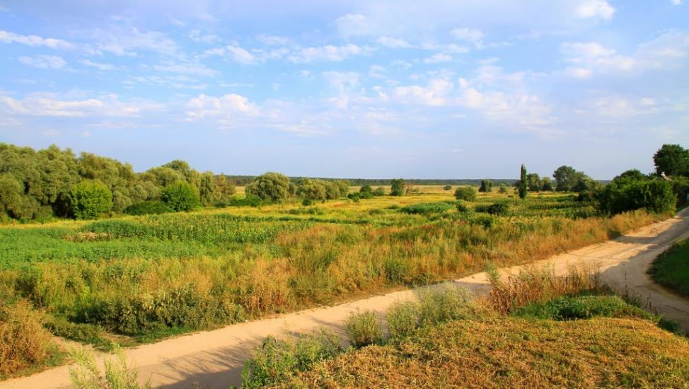 Мохнач з panoramio.com - Мохнач