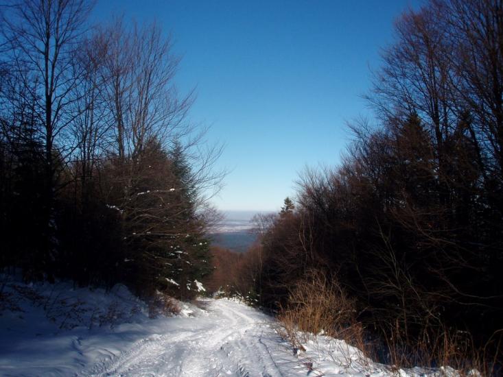 Орів з panoramio.com - Оров