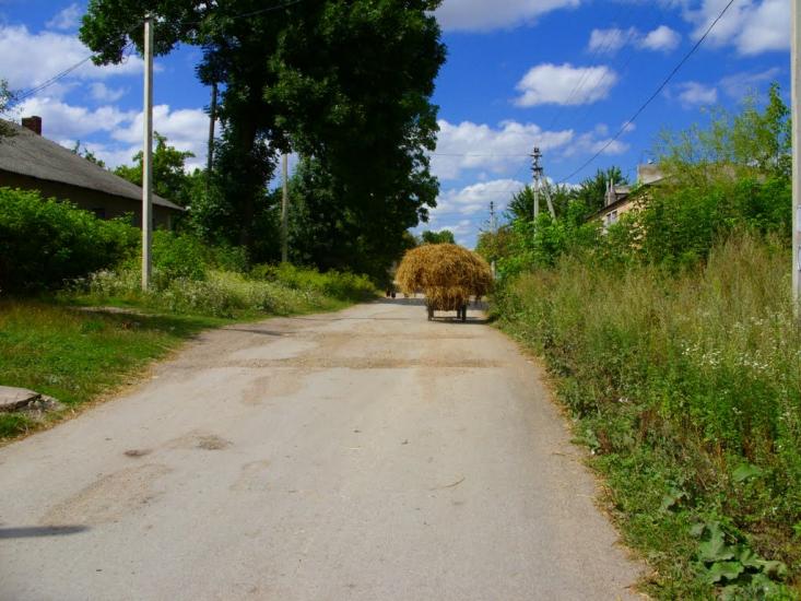 Нове Село з panoramio.com - Нове Село