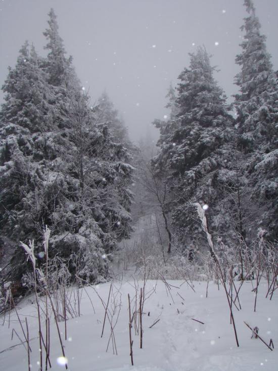 Кам'янка з panoramio.com - Каменка