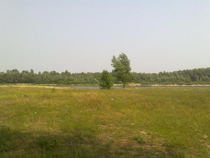 Вища Дубечня з panoramio.com - Высшая Дубечня