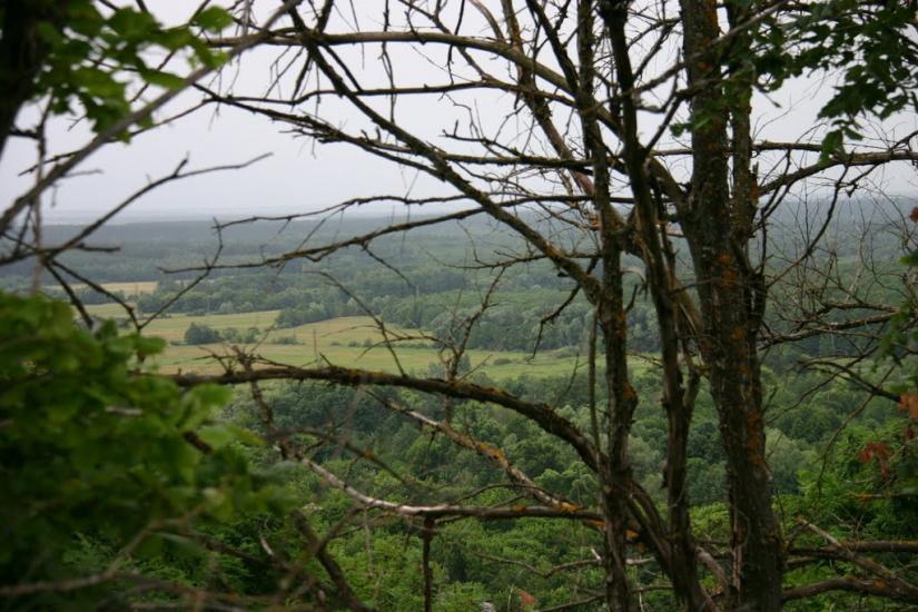 Межиріч з panoramio.com - Межирич