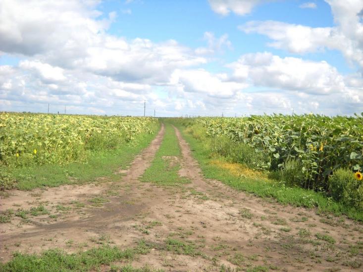 Бобринець з panoramio.com - Бобринец
