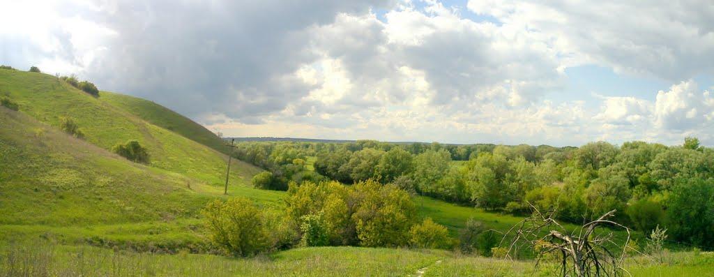Донецьке з panoramio.com - Donetske
