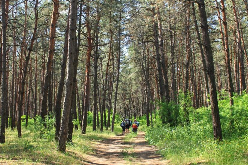 Широке з panoramio.com - Широкое