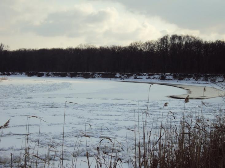 Підгірне з panoramio.com - Підгірне