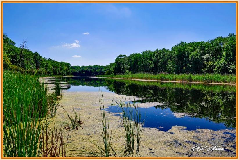 Дронівка з panoramio.com - Dronivka