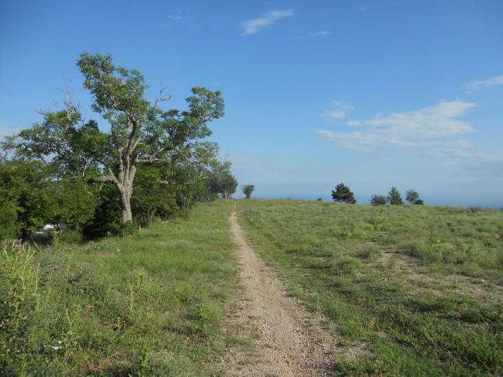 Відрадне з panoramio.com - Відрадне