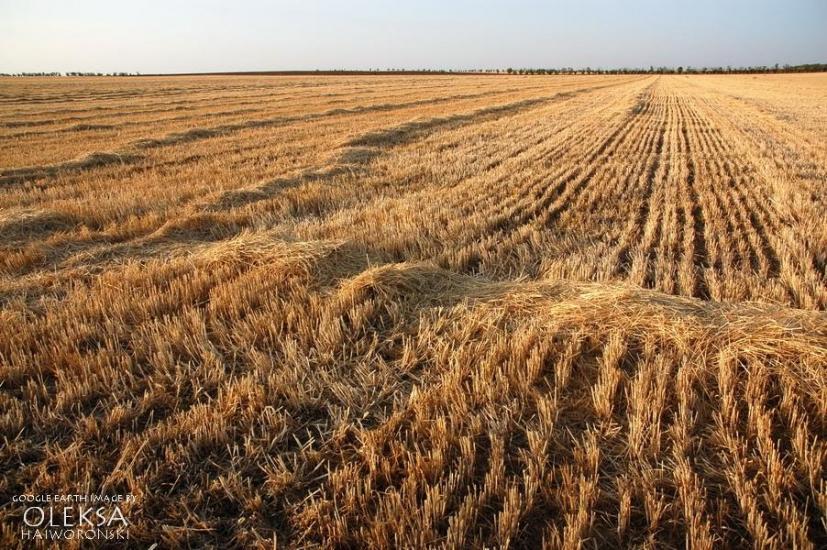 Табачне з panoramio.com - Табачное