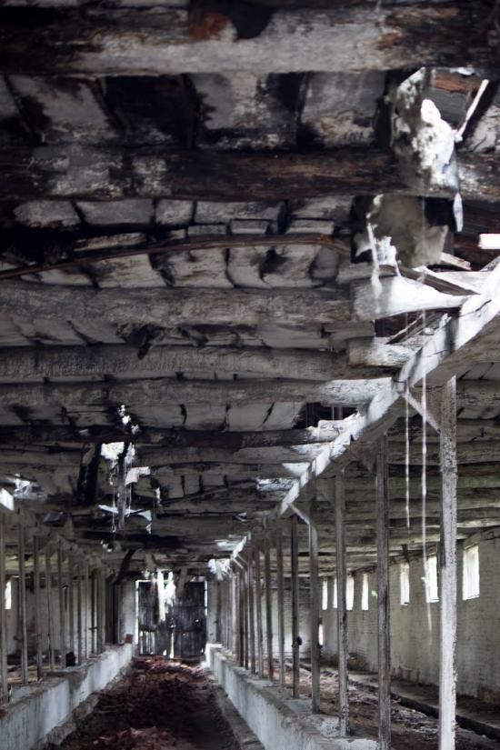 Мала Рогань з panoramio.com - Мала Рогань