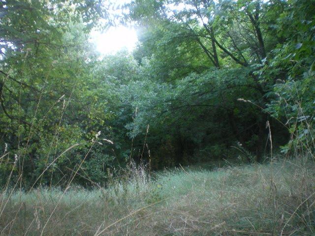 М'якеньківка з panoramio.com - Мякеньковка