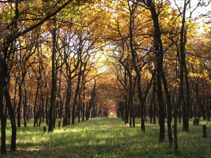 Горького з panoramio.com - Горького