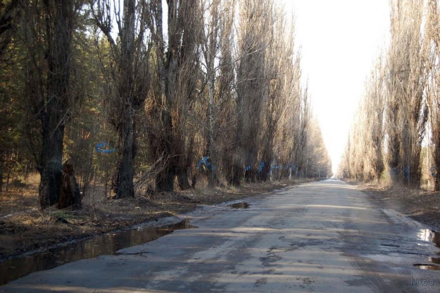 Сиротине з panoramio.com - Сиротине