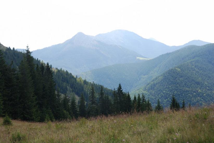 Черник з panoramio.com - Черник