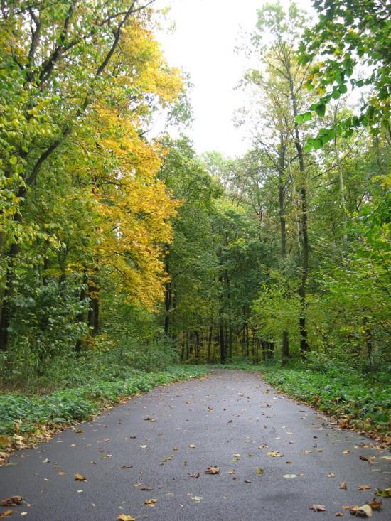 Бездрик з panoramio.com - Бездрик