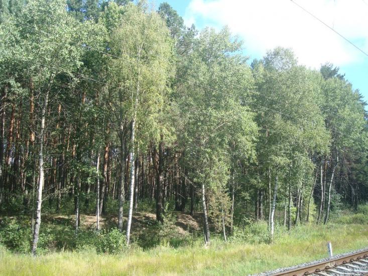 Рудня-Новенька з panoramio.com - Рудня-Новенька