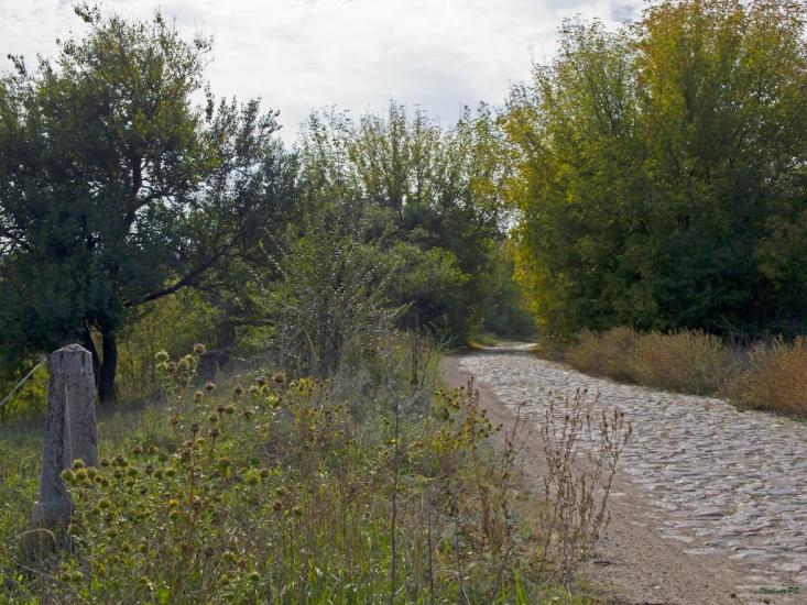 Стародобровільське з panoramio.com - Стародобровольское