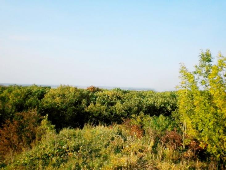 Введенка з panoramio.com - Введенка