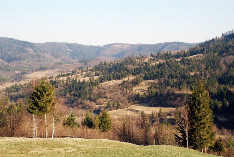 Кричка з panoramio.com - Кричка